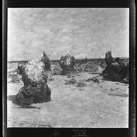 [Narau] On the Beach at Anetan where the Deboe Girl Came Ashore in her Drifting Coconut Shell