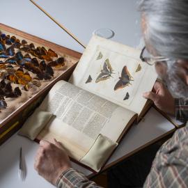 Visiting Macleay Miklouho-Maclay Fellow Dr Angel Viloria