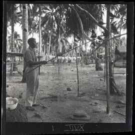 [Narau] Aroi with his Noddies Showing how they are made to "Fight"