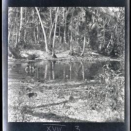 [Narau] Another Small Lagoon up at Buoda with Children Bathing
