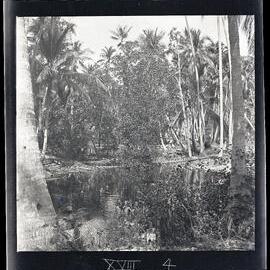 [Narau] Another Small Lagoon up at Buoda with Children Bathing, Looking Down to Another Small Lagoon