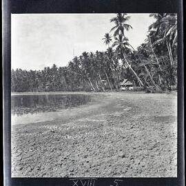 [Narau] The Western Side of Buoda Lagoon