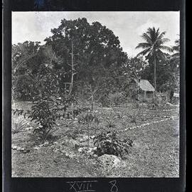 [Narau] The Mourre School Farm from the SE [Southeast] Corner