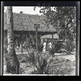 [Narau] Sister Murray at the Baby Health Centre in Anetan