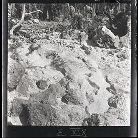 [Narau] The Stone Representation of Emenea in the Sand at the SW [Southwest] End of Anibari By [Bay]