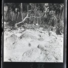 [Narau] Another View of Emenea