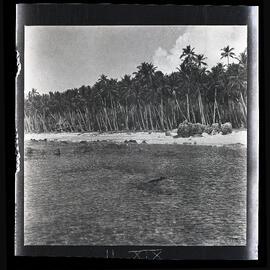 [Narau] In Anibari Bay