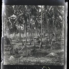 [Narau] The Leper Station