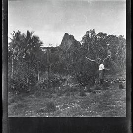 [Narau] On Bruce’s Highway Looking South