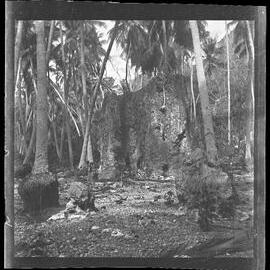 [Narau] Coral Rock Representing Eiguberian (Anibari Dist[rict])