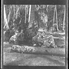 [Narau] Coral Rocks Representing the Grave of Agowenjaŋ (Anibari Dist[rict]) 