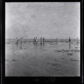 [Narau] Women Hurrying Across the Reef to Begin Fishing