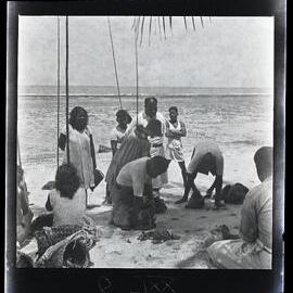 [Narau] Counting the Catch