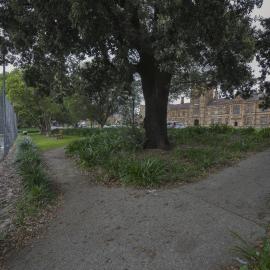 Tennis Courts on the Current Chau Chak Wing Museum Site