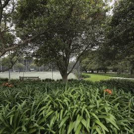 Tennis Courts on the Current Chau Chak Wing Museum Site