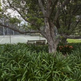 Tennis Courts on the Current Chau Chak Wing Museum Site