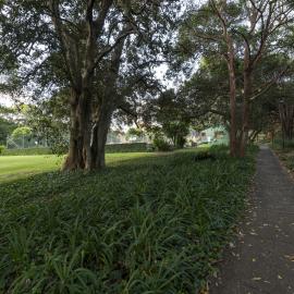 Tennis Courts on the Current Chau Chak Wing Museum Site