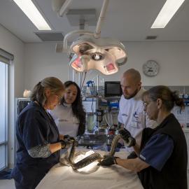 Wildlife Health and Conservation Hospital at Camden Campus