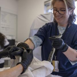 Wildlife Health and Conservation Hospital at Camden Campus