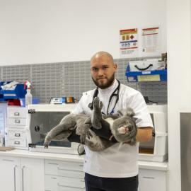 Wildlife Health and Conservation Hospital at Camden Campus