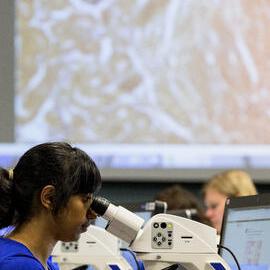 Research Lab in Charles Perkins Centre (CPC)