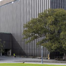 Fisher Library and Bookstack