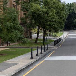 Fisher Road Looking Towards Anderson Stuart Building