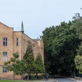 Fisher Road Looking Towards Madsen Building 
