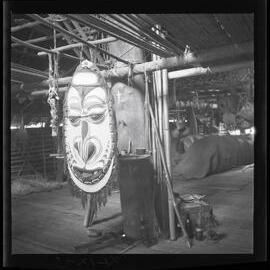 ? Shield/Mask