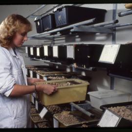 Student with Samples in Buckets
