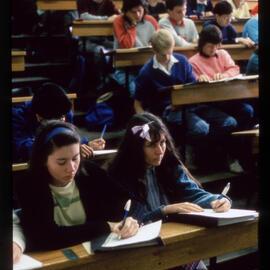 Students in Lecture Theatre