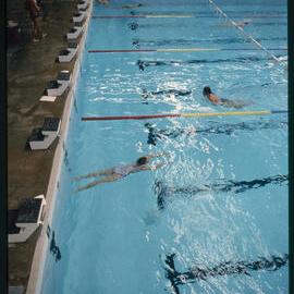 Swimming