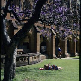 Students Relaxing in Quadrangle