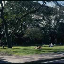 Students Relaxing on Lawn