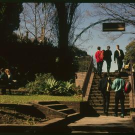 Students Walking Between Lectures