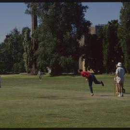 Cricket Match