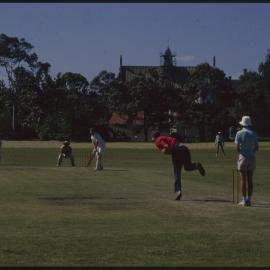 Cricket Match
