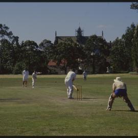 Cricket Match
