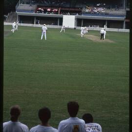 Cricket Match