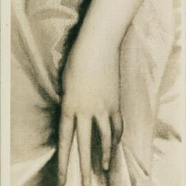 Details of 'The Blue Lady' Portrait in The Senate