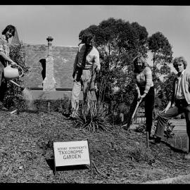 Botany Department's Taxonomic Garden Near the Old Darlington School