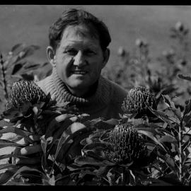 Paul Nixon with Waratahs Grown at Camden Plantation