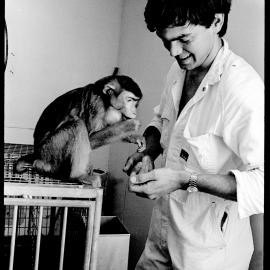 Animal House Attendant Tim Grul with Macaque Monkey 'Dame Edna'