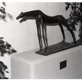 Bronze Sculpture of a Horse Donated by Artist Shona Nunan Installed in the Vice-Chancellor's Garden