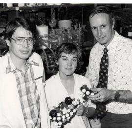 Organic Chemistry Enzyme Mimicry Group