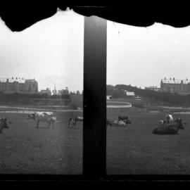 Paddock with Cows, Lake, Southwest to St John's College