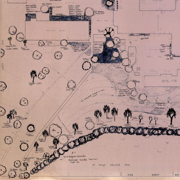 Plans of University Gardens